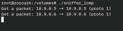 The attacker’s sniffer output while host A pings host B: one line per ICMP packet between 10.9.0.5 and 10.9.0.6, proving the host filter matches.