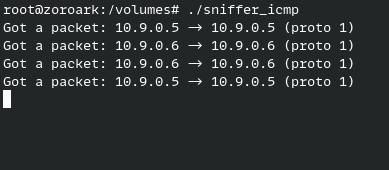 Negative test: host A pings 8.8.8.8 and the sniffer output shows no new packets — the filter requires both 10.9.0.5 and 10.9.0.6, so traffic to the outside is correctly excluded.